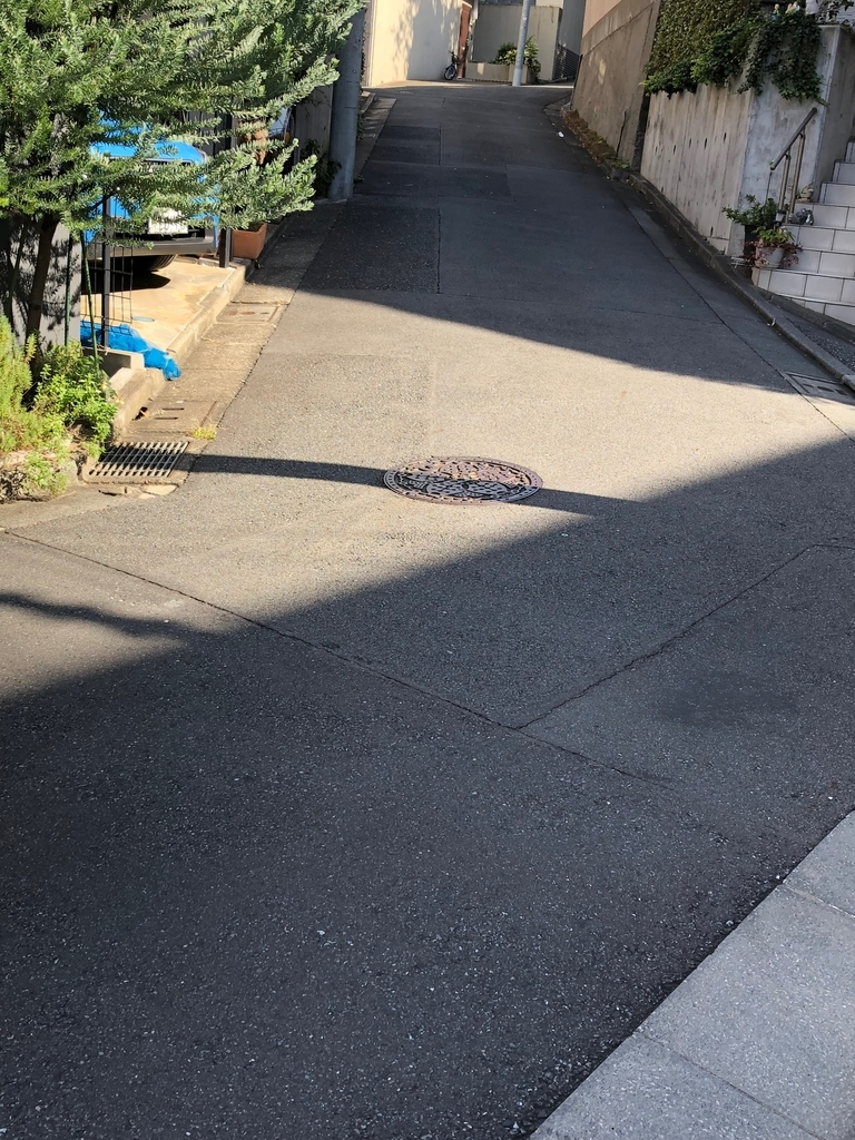 f:id:hideki-sansho:20181022130915j:plain f:id:hideki-sansho:20181022130915j:plain