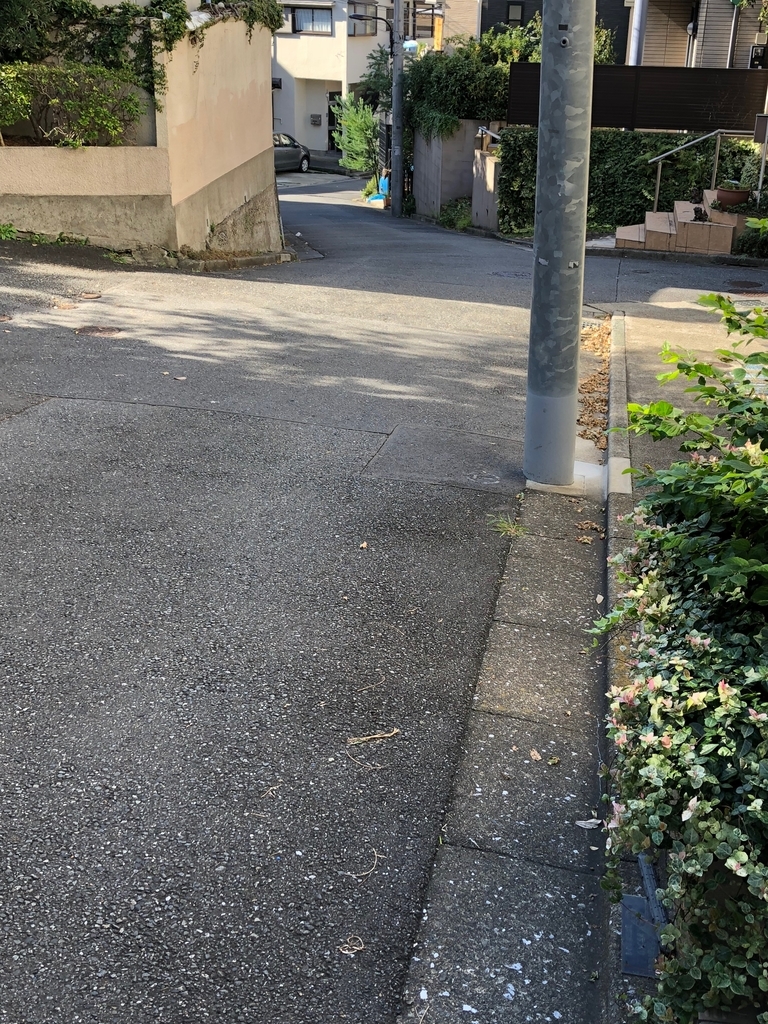 f:id:hideki-sansho:20181022130928j:plain f:id:hideki-sansho:20181022130928j:plain