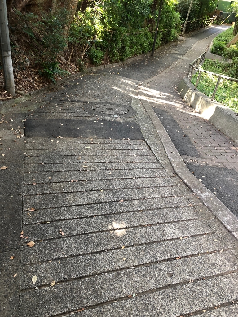 f:id:hideki-sansho:20181101161212j:plain f:id:hideki-sansho:20181101161212j:plain