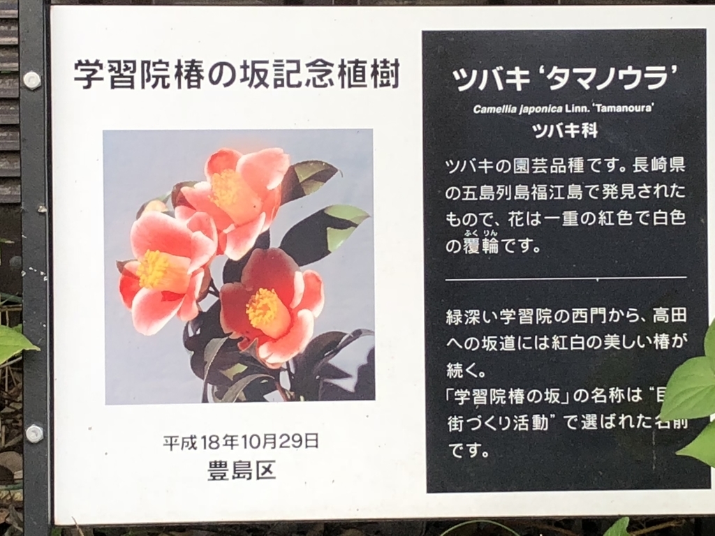 f:id:hideki-sansho:20181101163929j:plain