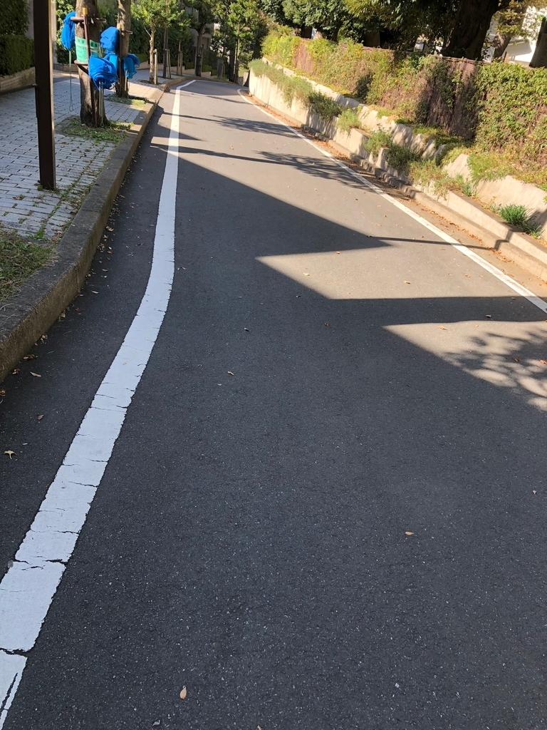 f:id:hideki-sansho:20181101165554j:plain f:id:hideki-sansho:20181101165554j:plain