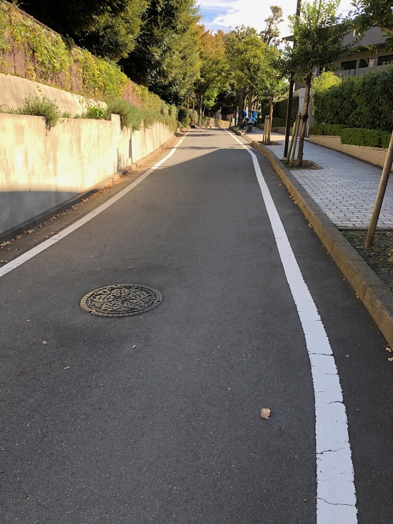 f:id:hideki-sansho:20181101165616j:plain f:id:hideki-sansho:20181101165616j:plain