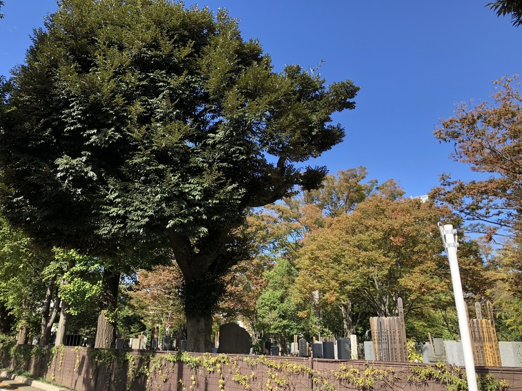 f:id:hideki-sansho:20181101165753j:plain f:id:hideki-sansho:20181101165753j:plain