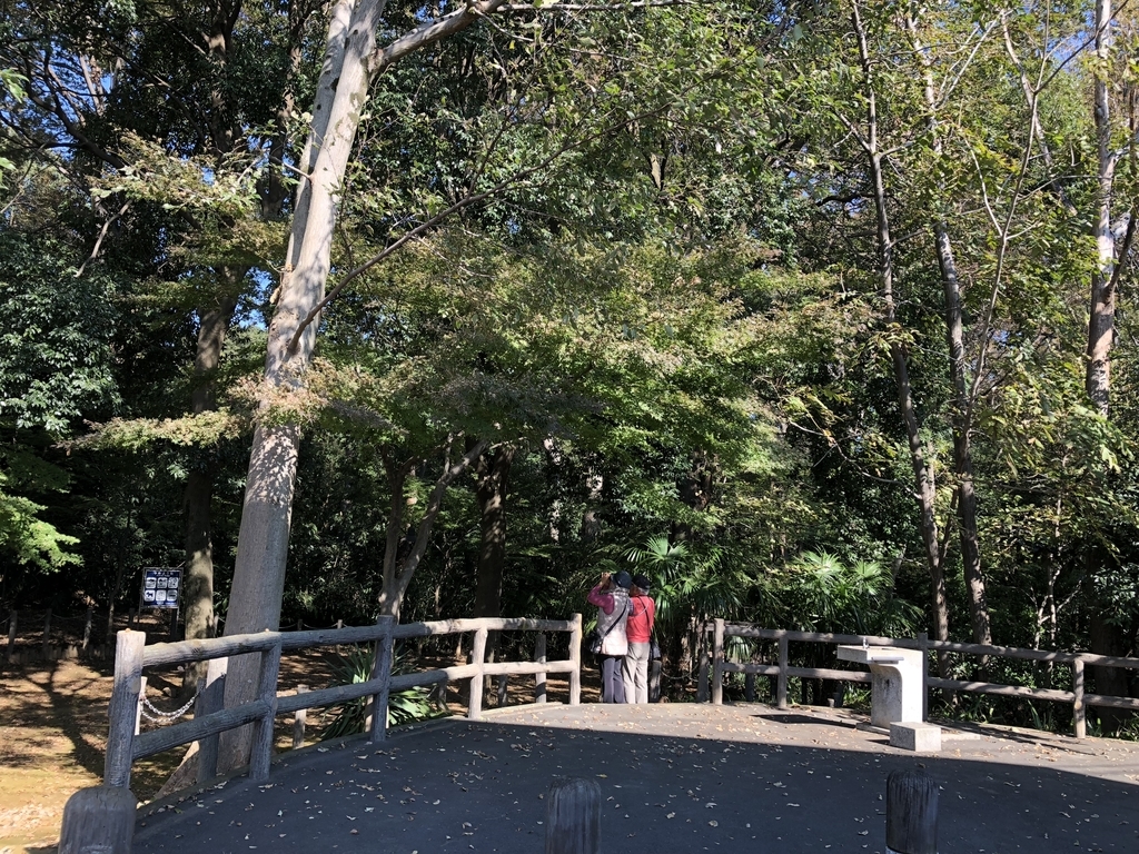 f:id:hideki-sansho:20181103163938j:plain f:id:hideki-sansho:20181103163938j:plain