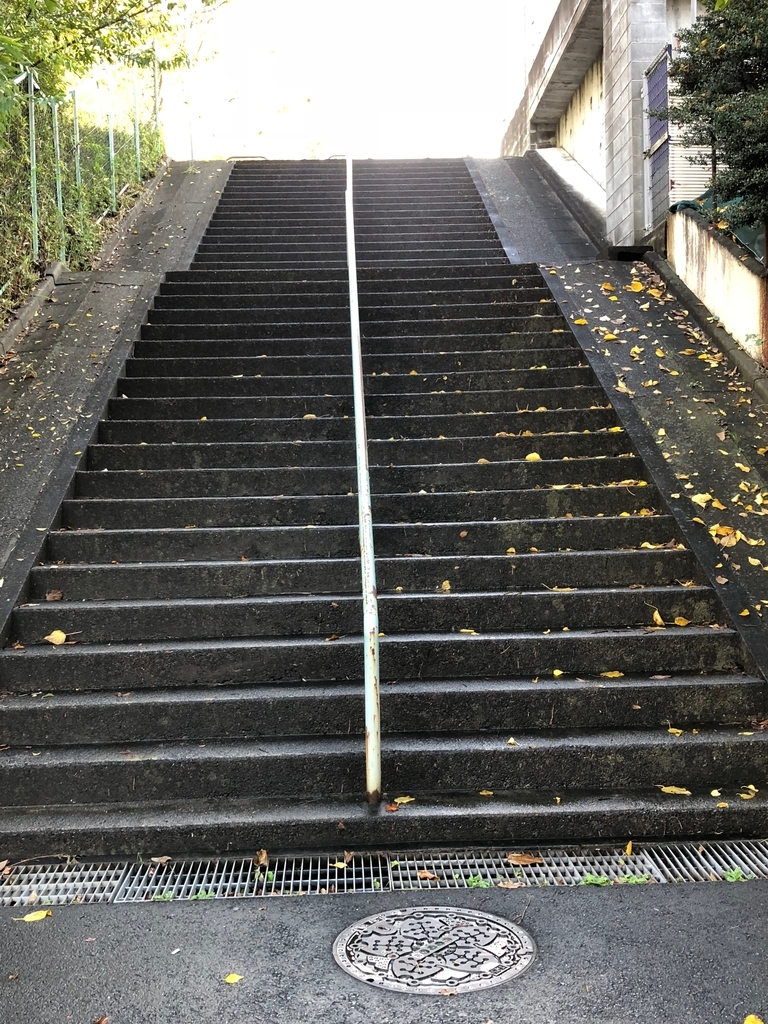 f:id:hideki-sansho:20181107154536j:plain f:id:hideki-sansho:20181107154536j:plain