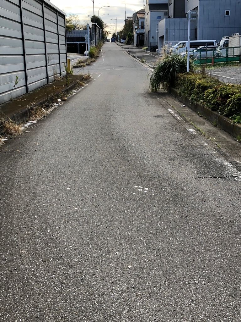 f:id:hideki-sansho:20181107154833j:plain f:id:hideki-sansho:20181107154833j:plain