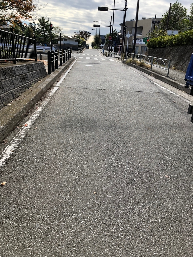 f:id:hideki-sansho:20181107154909j:plain f:id:hideki-sansho:20181107154909j:plain