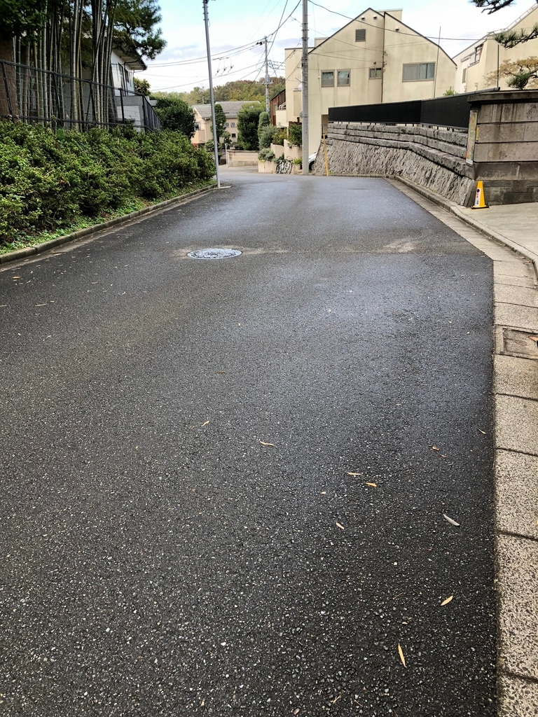 f:id:hideki-sansho:20181107155255j:plain f:id:hideki-sansho:20181107155255j:plain