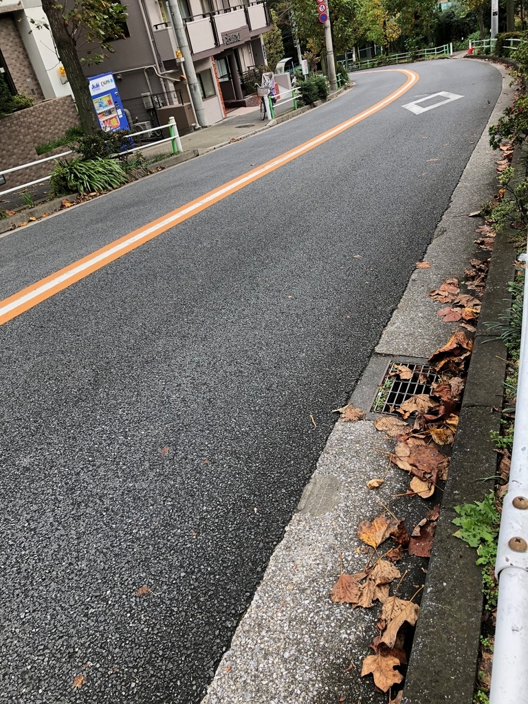 f:id:hideki-sansho:20181107155545j:plain f:id:hideki-sansho:20181107155545j:plain