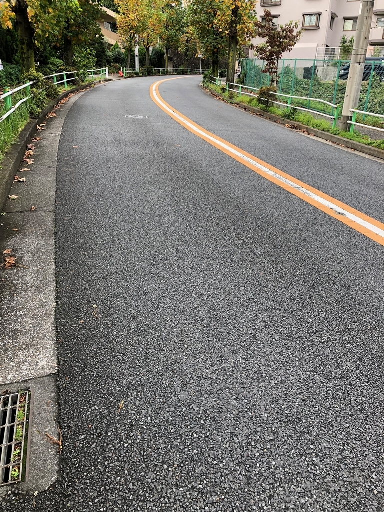 f:id:hideki-sansho:20181107155605j:plain f:id:hideki-sansho:20181107155605j:plain