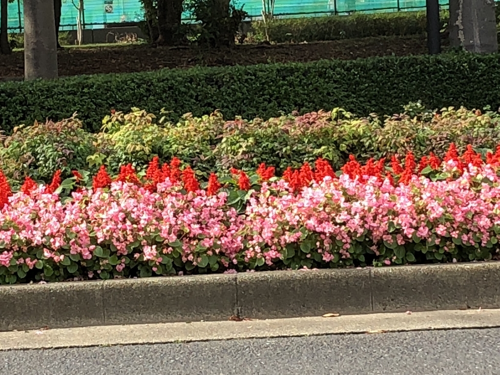 f:id:hideki-sansho:20181107160742j:plain