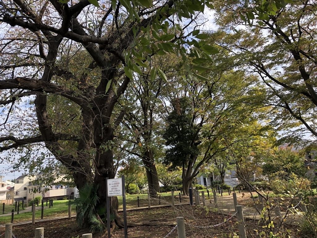 f:id:hideki-sansho:20181107161437j:plain f:id:hideki-sansho:20181107161437j:plain