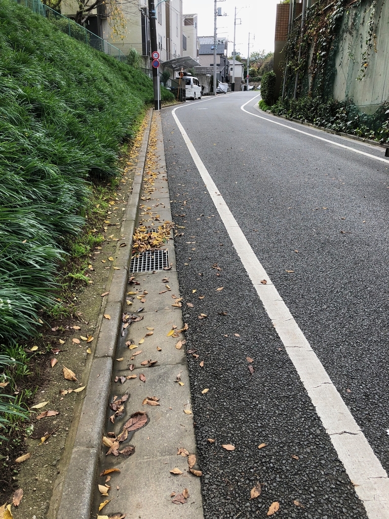 f:id:hideki-sansho:20181107161616j:plain f:id:hideki-sansho:20181107161616j:plain