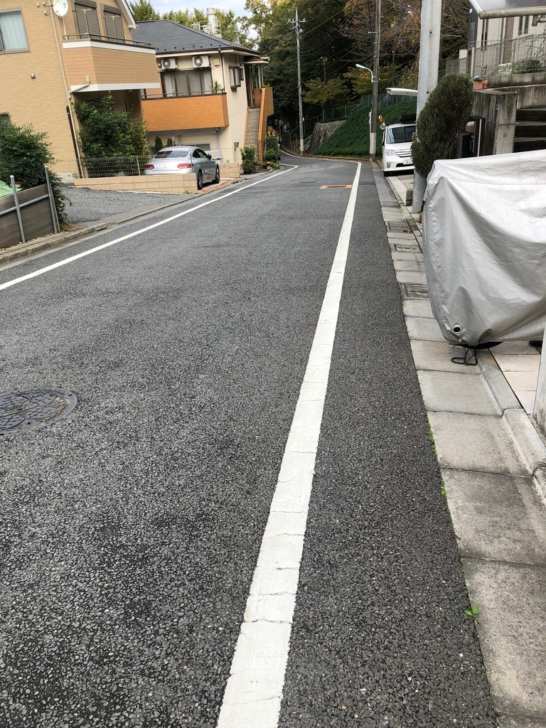 f:id:hideki-sansho:20181107161635j:plain f:id:hideki-sansho:20181107161635j:plain