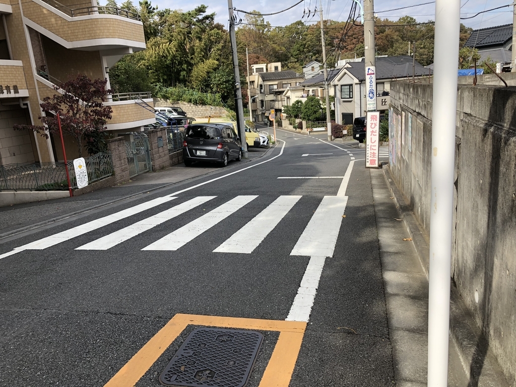 f:id:hideki-sansho:20181107161719j:plain f:id:hideki-sansho:20181107161719j:plain