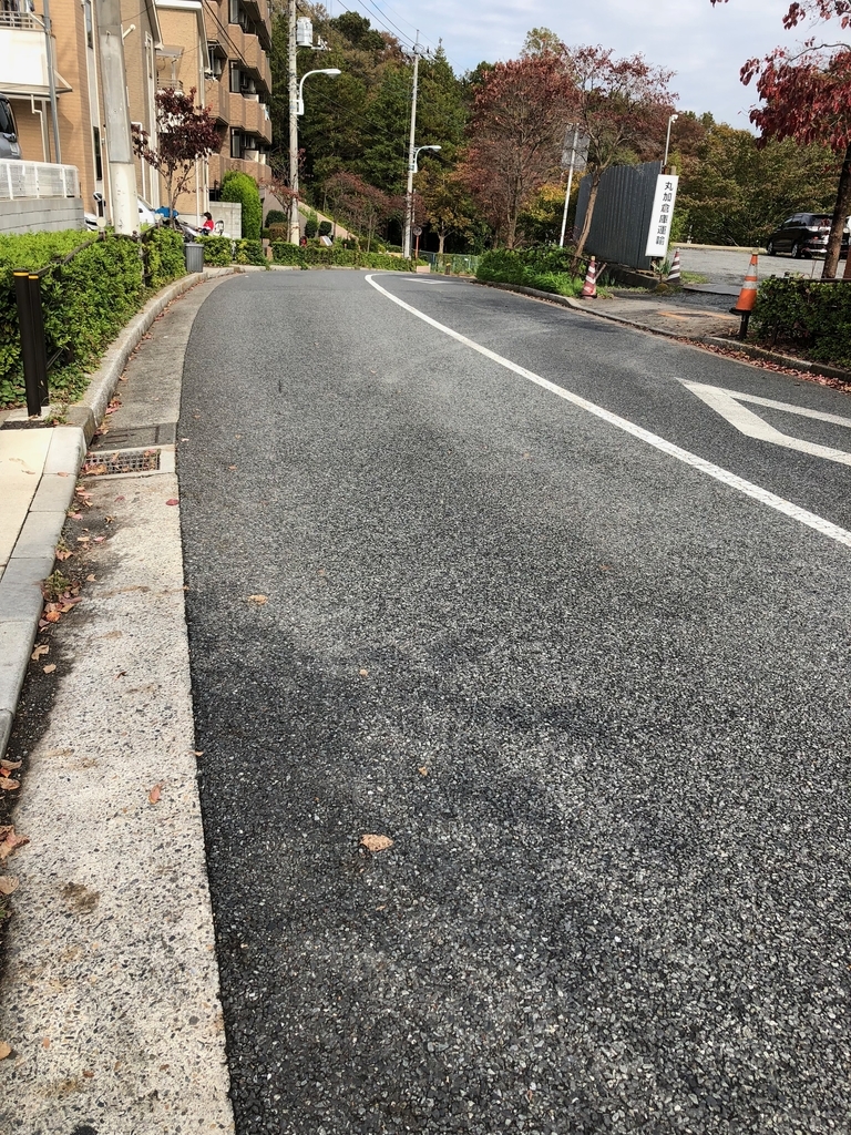 f:id:hideki-sansho:20181107162121j:plain f:id:hideki-sansho:20181107162121j:plain