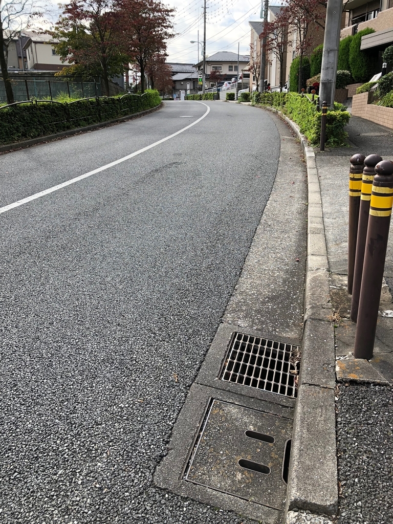 f:id:hideki-sansho:20181107162142j:plain f:id:hideki-sansho:20181107162142j:plain
