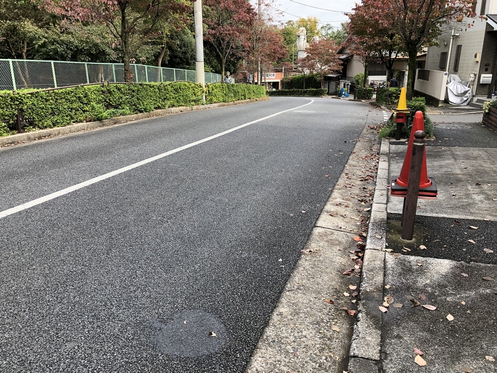 f:id:hideki-sansho:20181107162201j:plain f:id:hideki-sansho:20181107162201j:plain