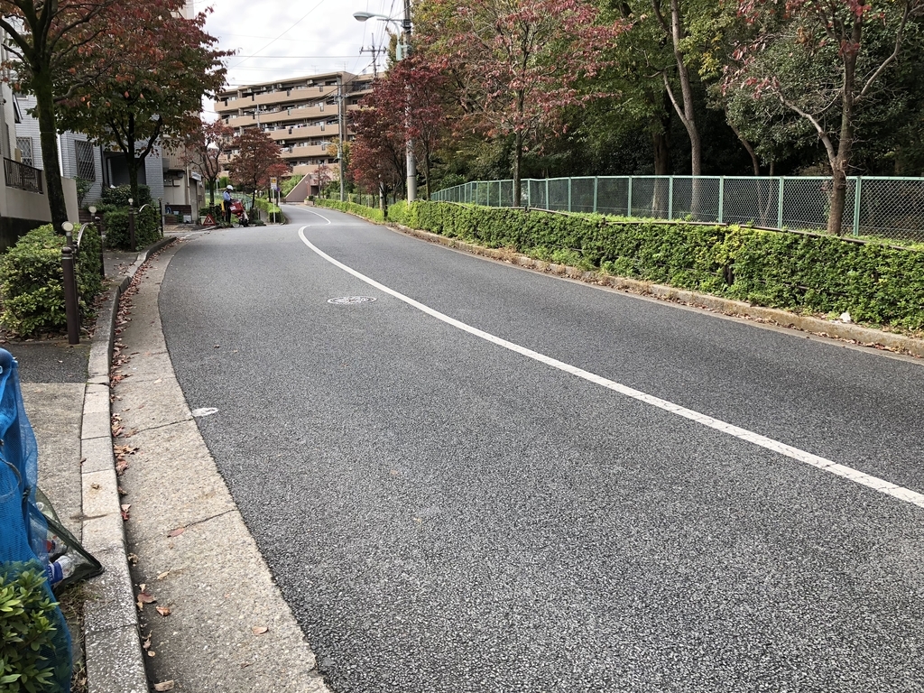 f:id:hideki-sansho:20181107162221j:plain f:id:hideki-sansho:20181107162221j:plain