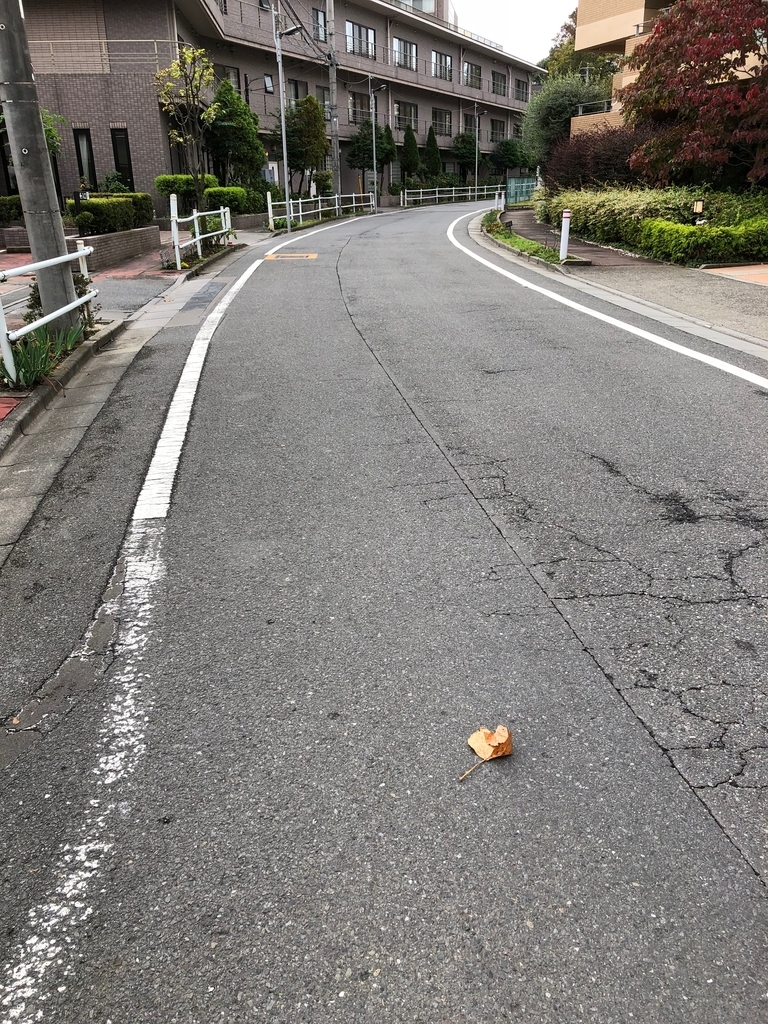 f:id:hideki-sansho:20181107203845j:plain