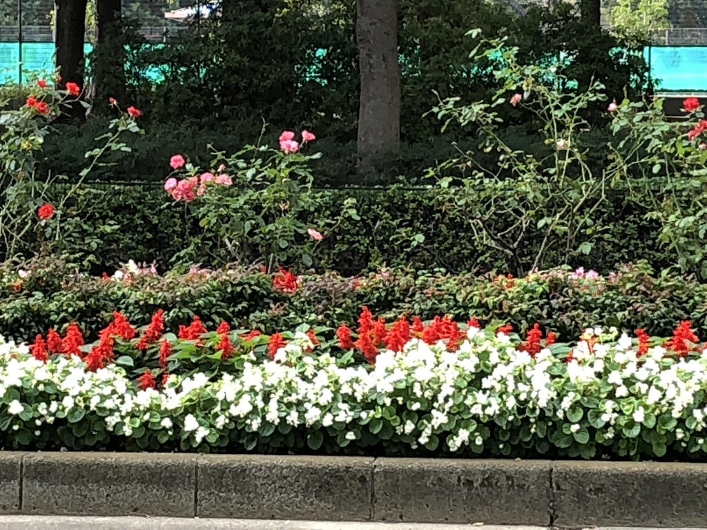 f:id:hideki-sansho:20181108190144j:plain f:id:hideki-sansho:20181108190144j:plain