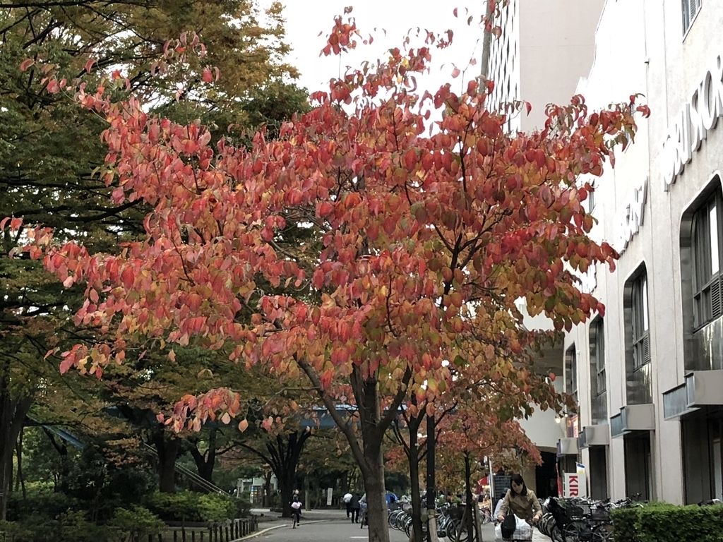 f:id:hideki-sansho:20181108190422j:plain f:id:hideki-sansho:20181108190422j:plain