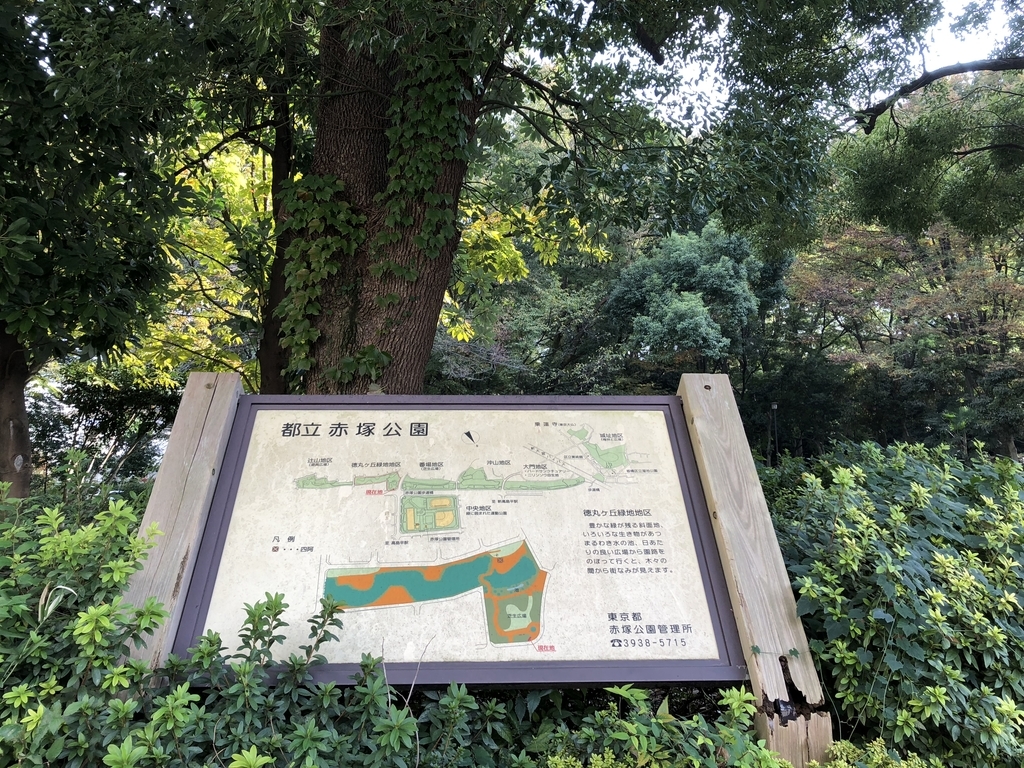 f:id:hideki-sansho:20181108191024j:plain f:id:hideki-sansho:20181108191024j:plain