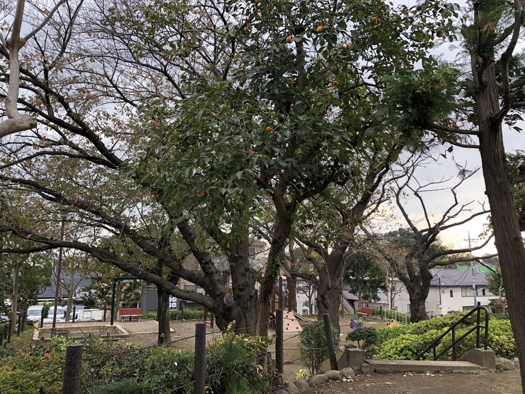 f:id:hideki-sansho:20181108192729j:plain f:id:hideki-sansho:20181108192729j:plain