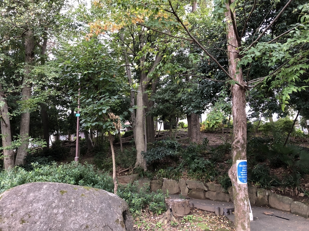 f:id:hideki-sansho:20181108193233j:plain f:id:hideki-sansho:20181108193233j:plain