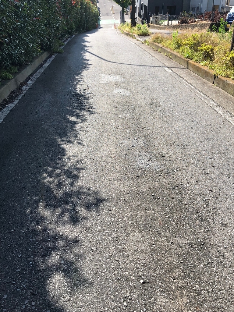 f:id:hideki-sansho:20181110165433j:plain f:id:hideki-sansho:20181110165433j:plain