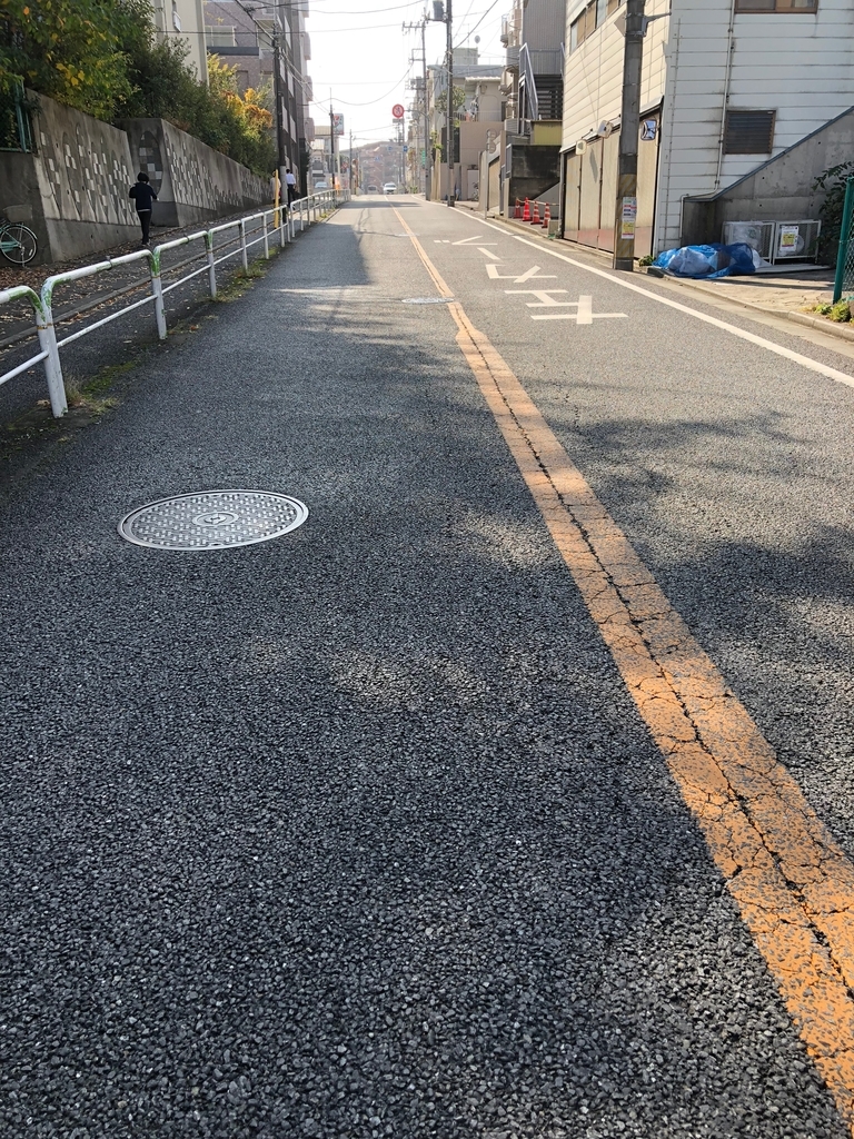 f:id:hideki-sansho:20181110171512j:plain f:id:hideki-sansho:20181110171512j:plain