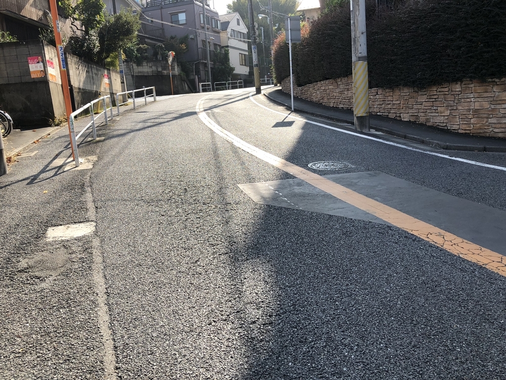 f:id:hideki-sansho:20181110171550j:plain f:id:hideki-sansho:20181110171550j:plain