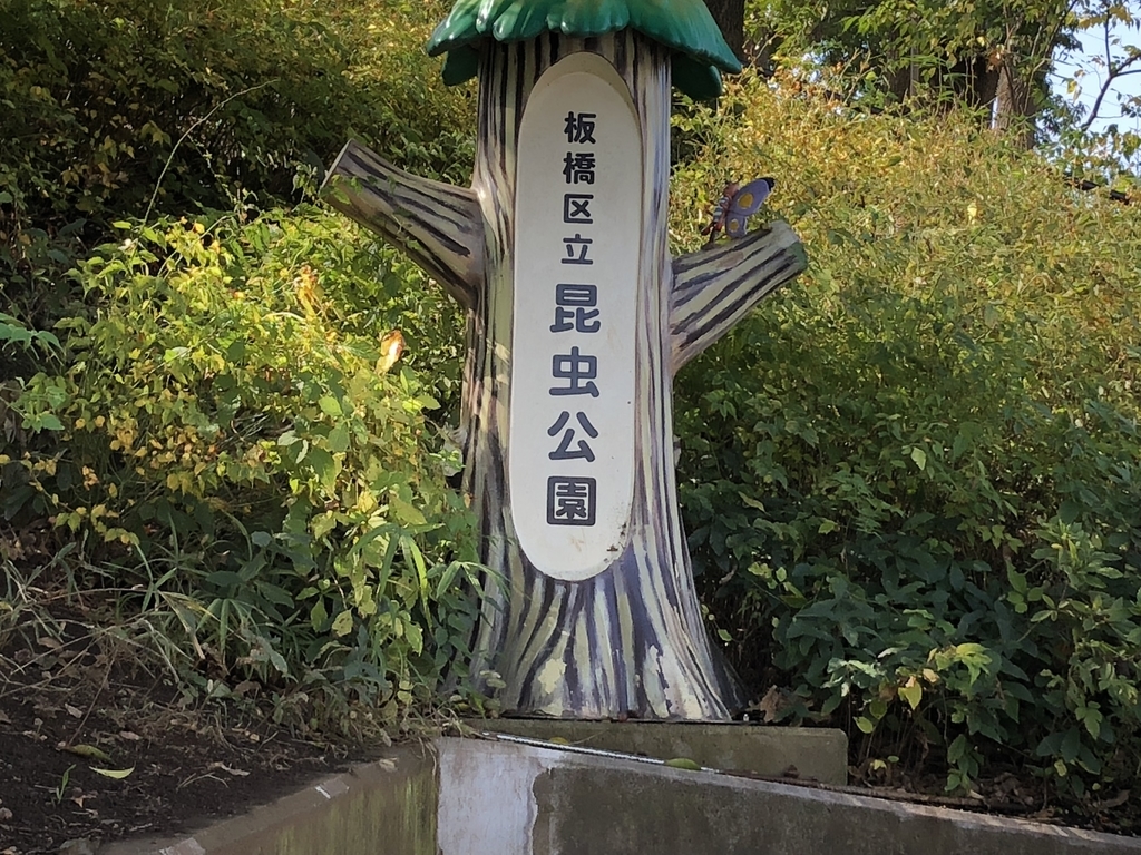 f:id:hideki-sansho:20181110171910j:plain f:id:hideki-sansho:20181110171910j:plain