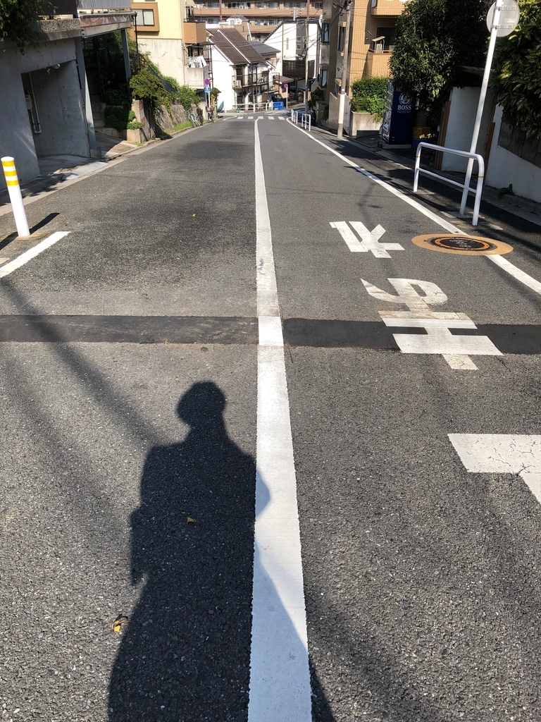 f:id:hideki-sansho:20181110181027j:plain f:id:hideki-sansho:20181110181027j:plain