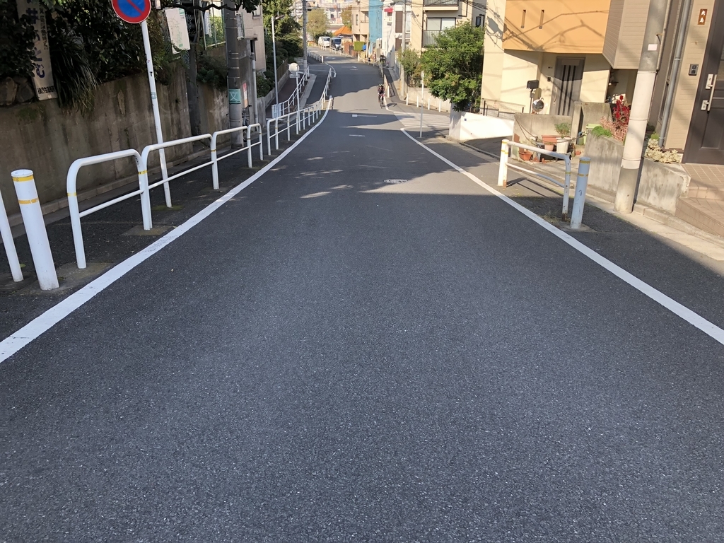 f:id:hideki-sansho:20181110181107j:plain f:id:hideki-sansho:20181110181107j:plain