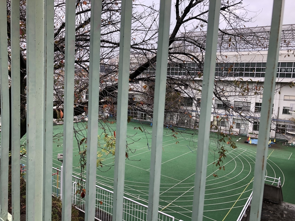 f:id:hideki-sansho:20181113131337j:plain f:id:hideki-sansho:20181113131337j:plain