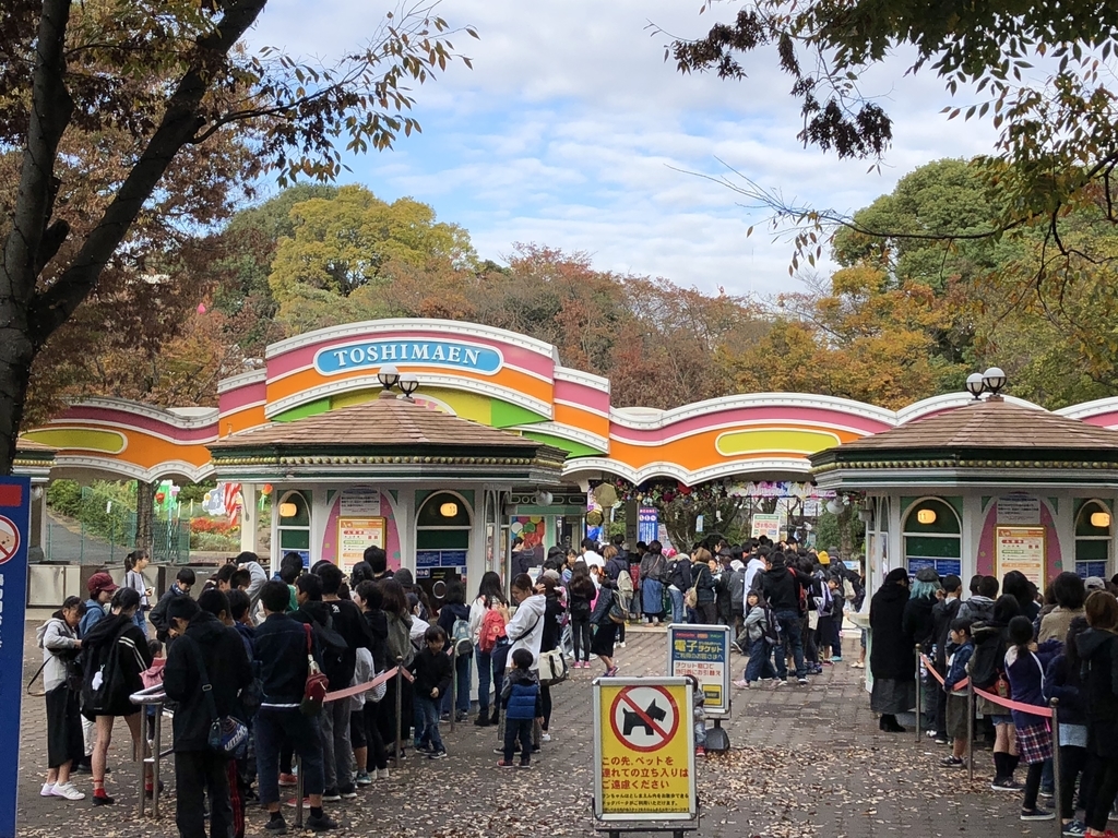 f:id:hideki-sansho:20181114120934j:plain f:id:hideki-sansho:20181114120934j:plain