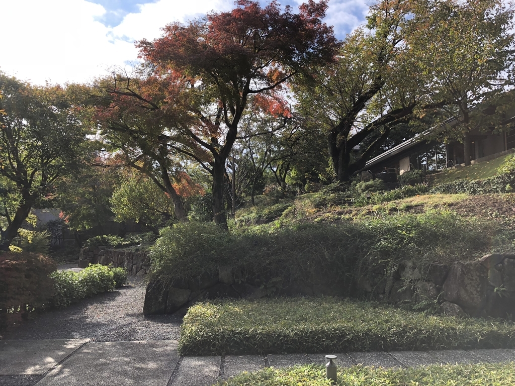 f:id:hideki-sansho:20181114121352j:plain f:id:hideki-sansho:20181114121352j:plain
