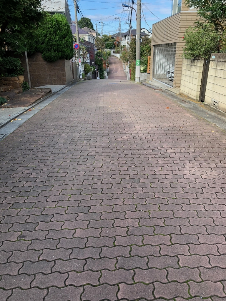 f:id:hideki-sansho:20181114121510j:plain f:id:hideki-sansho:20181114121510j:plain