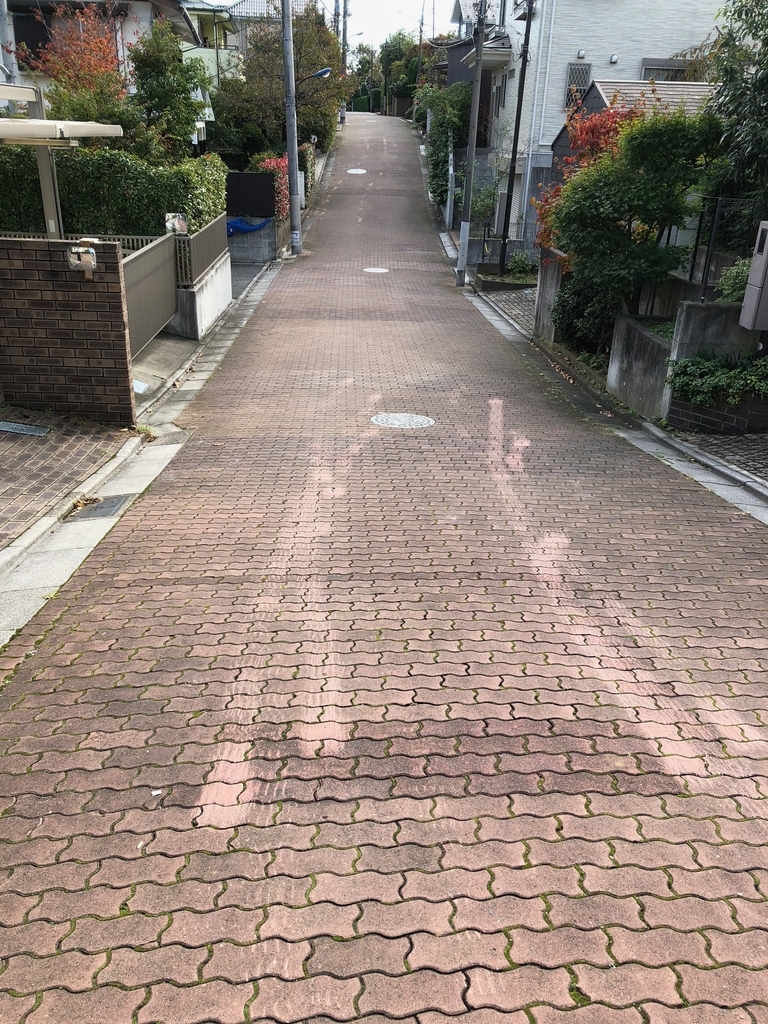 f:id:hideki-sansho:20181114121526j:plain f:id:hideki-sansho:20181114121526j:plain