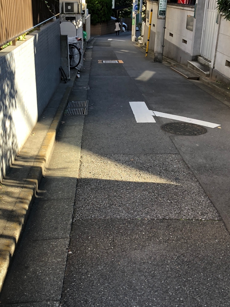 f:id:hideki-sansho:20181115142249j:plain f:id:hideki-sansho:20181115142249j:plain