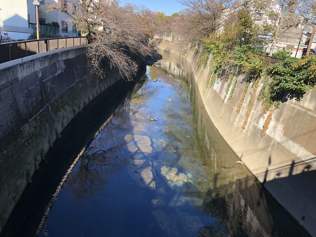 f:id:hideki-sansho:20181115142732j:plain f:id:hideki-sansho:20181115142732j:plain