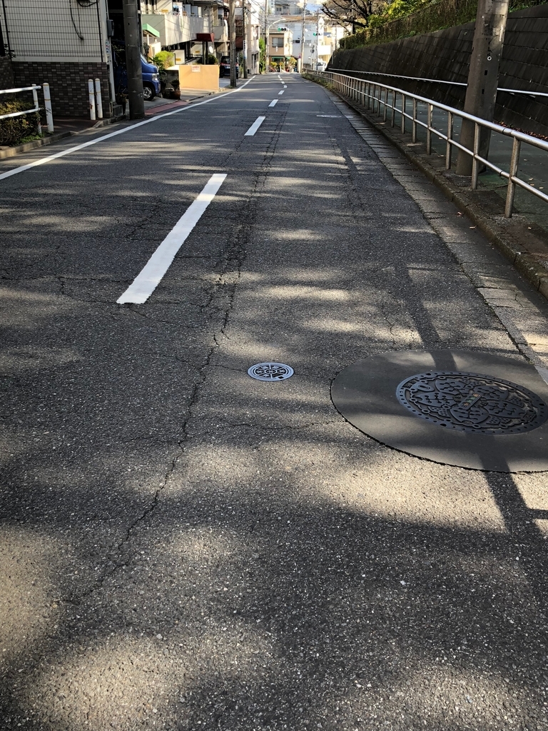 f:id:hideki-sansho:20181116144612j:plain f:id:hideki-sansho:20181116144612j:plain