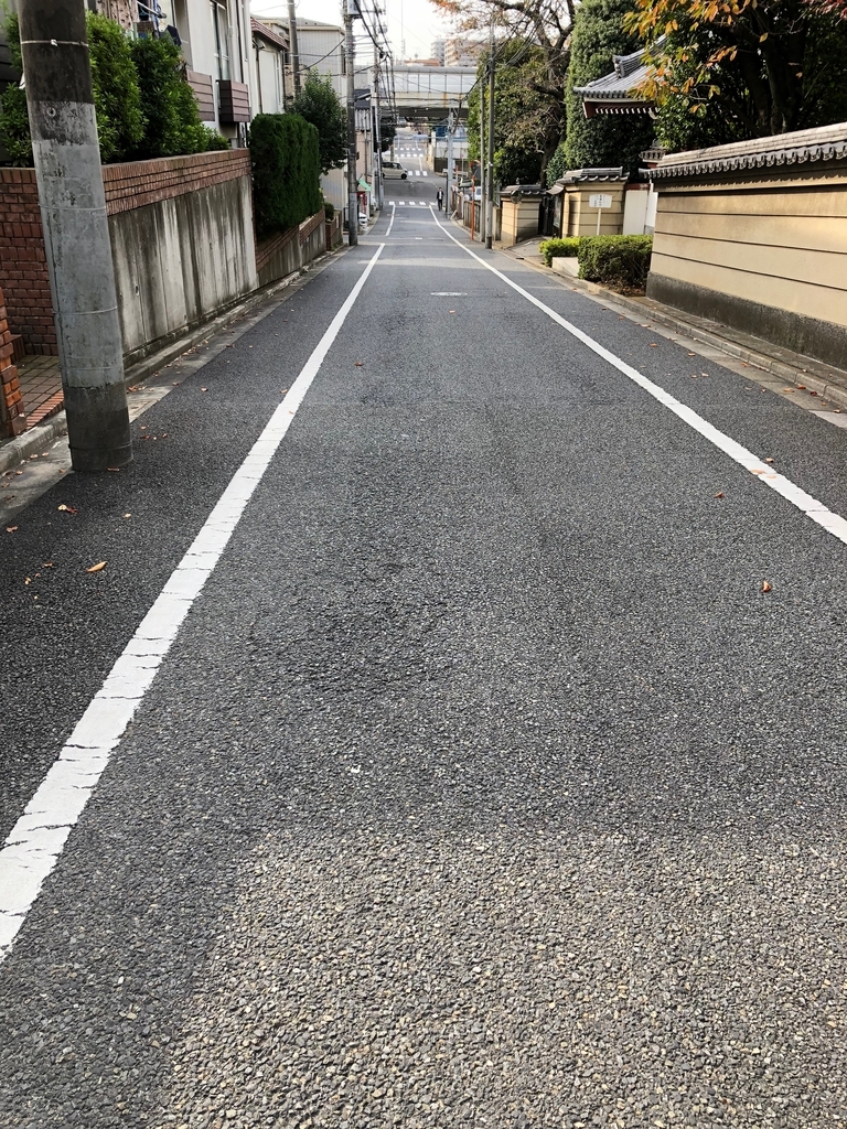 f:id:hideki-sansho:20181118151158j:plain f:id:hideki-sansho:20181118151158j:plain