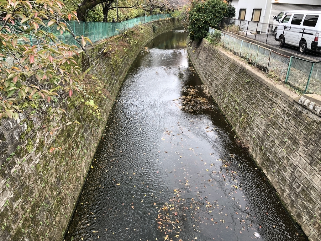 f:id:hideki-sansho:20181119125117j:plain f:id:hideki-sansho:20181119125117j:plain