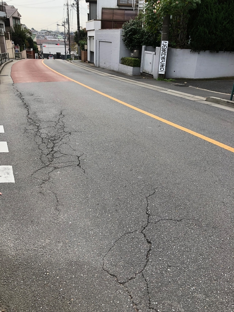 f:id:hideki-sansho:20181119125615j:plain f:id:hideki-sansho:20181119125615j:plain