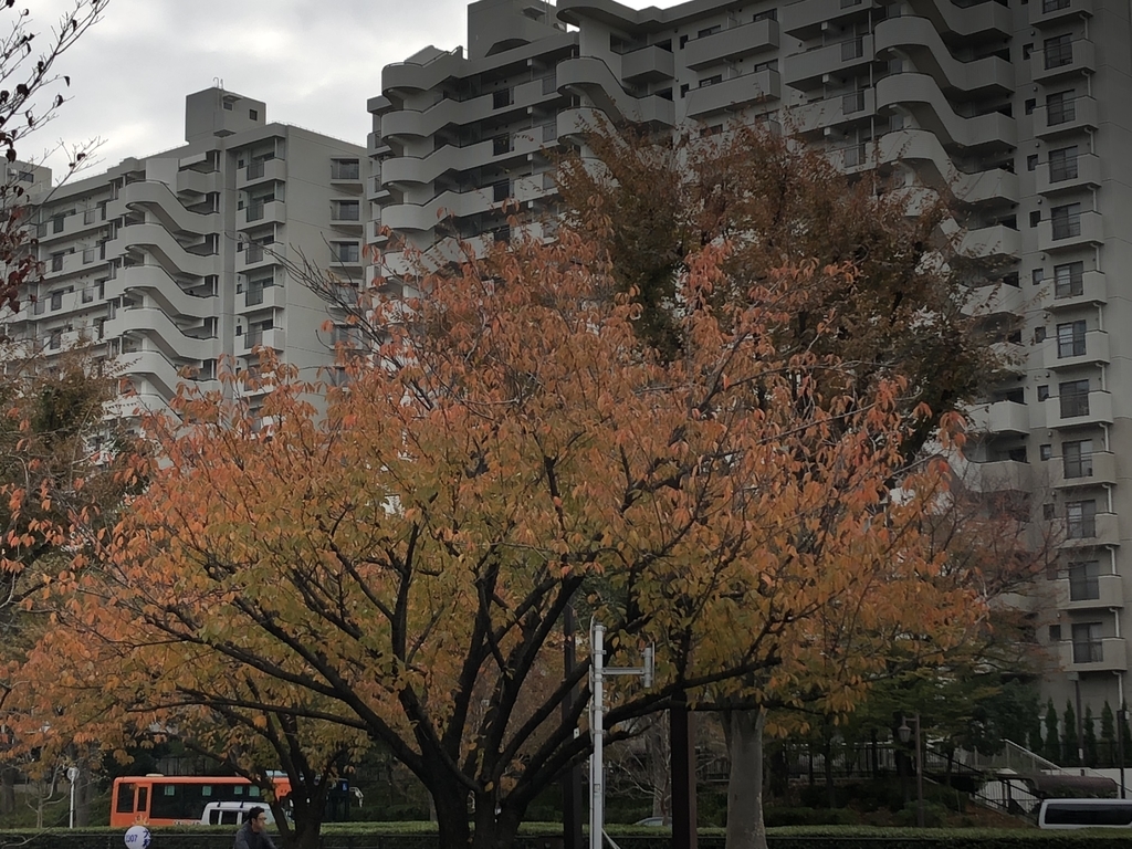 f:id:hideki-sansho:20181119130104j:plain f:id:hideki-sansho:20181119130104j:plain
