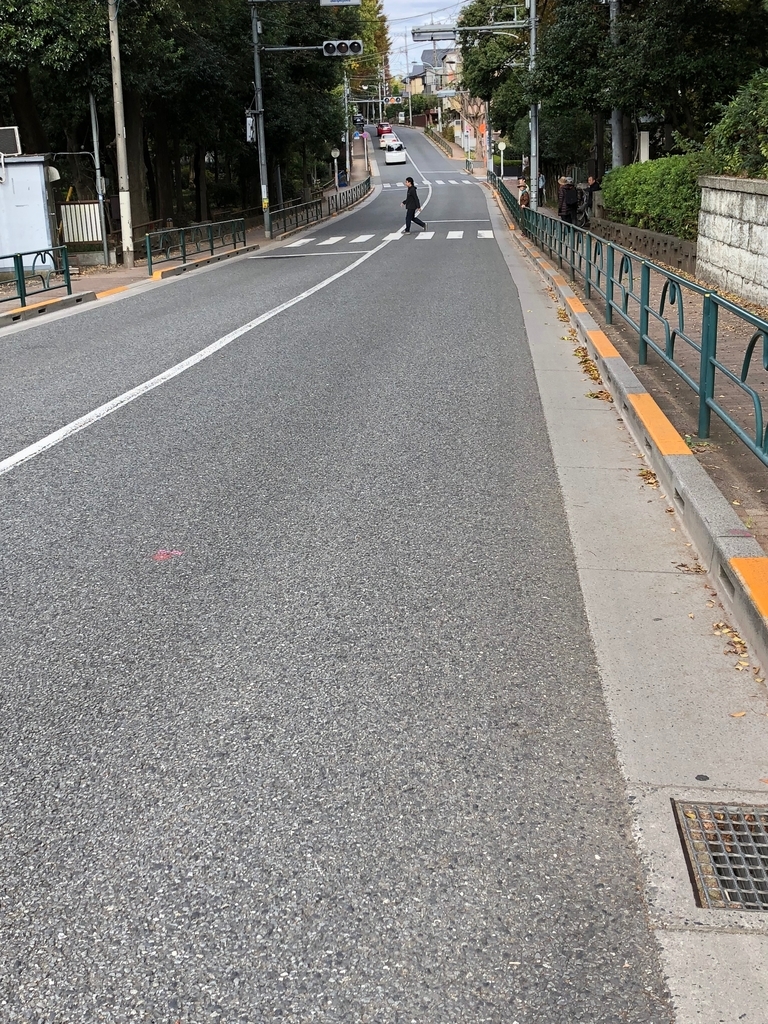 f:id:hideki-sansho:20181120141450j:plain f:id:hideki-sansho:20181120141450j:plain