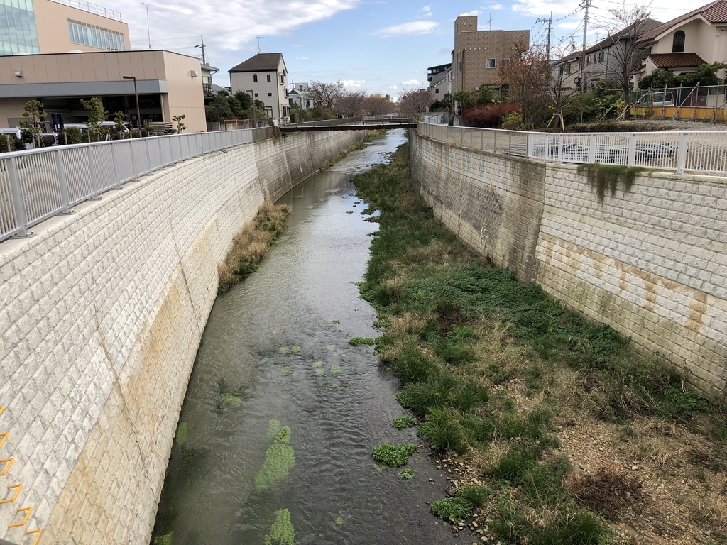 f:id:hideki-sansho:20181120141825j:plain f:id:hideki-sansho:20181120141825j:plain