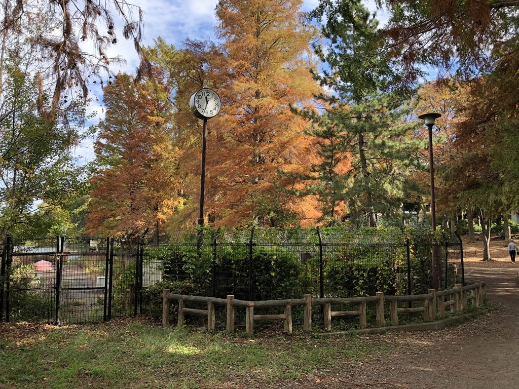f:id:hideki-sansho:20181120143651j:plain f:id:hideki-sansho:20181120143651j:plain